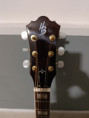 /album/chitarra-acustica-elettrificata-harley-benton-clj-503-ce-wn/whatsapp-image-2026-03-16-at-17-36-17-3-jpeg/
